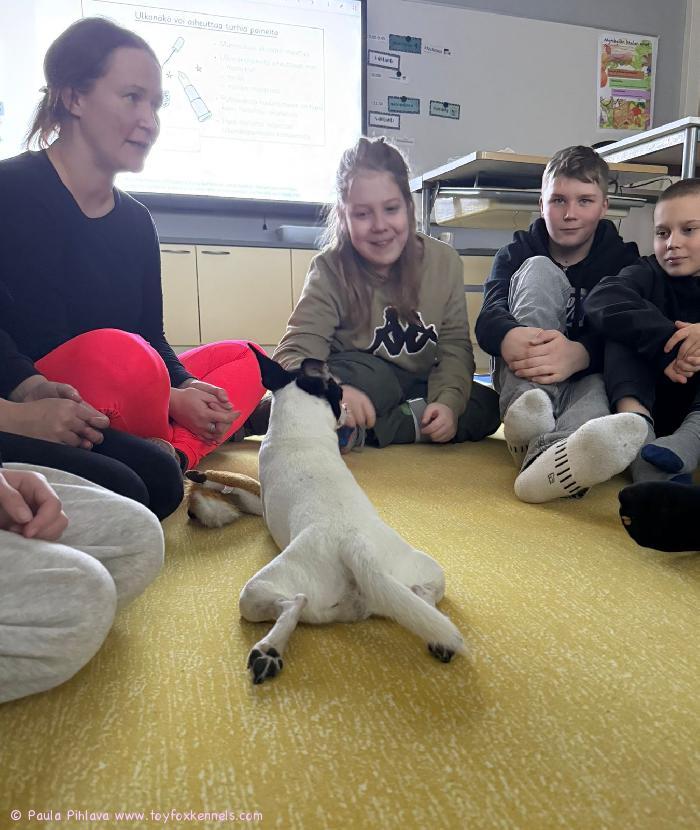 Työkoira-amerikankääpiöterrieri Dunkel‘s Linus Pongo, tuttavallisemmin James, on kunnostautunut monien muiden avujensa lisäksi koulukoirana. Jameksen omistaja Paula kertoo, että James toimii koulussa aivan loistavasti. Se rakastaa olla huomion keskipisteenä, ottaa kontaktia ja osallistuu innolla tilanteisiin, joissa tarvitaan läsnäoloa ja vuorovaikutusta.