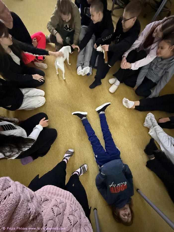 Työkoira-amerikankääpiöterrieri Dunkel‘s Linus Pongo, tuttavallisemmin James, on kunnostautunut monien muiden avujensa lisäksi koulukoirana. Jameksen omistaja Paula kertoo, että James toimii koulussa aivan loistavasti. Se rakastaa olla huomion keskipisteenä, ottaa kontaktia ja osallistuu innolla tilanteisiin, joissa tarvitaan läsnäoloa ja vuorovaikutusta.