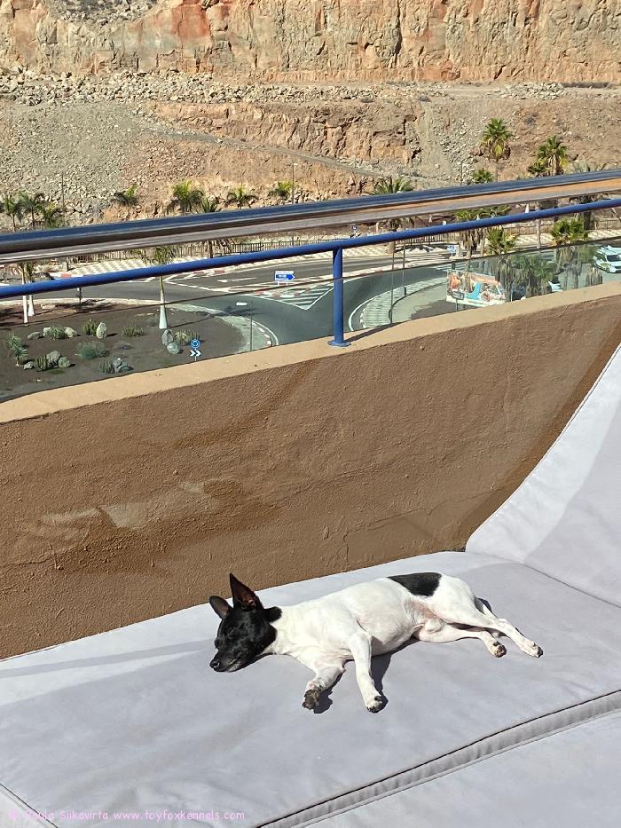 Napelta ja meiltä rauhallisen Joulun toivotukset ja iloa ja onnea tulevalle vuodelle 2022. Poika ensimmäisellä reissulla Kanarialla!