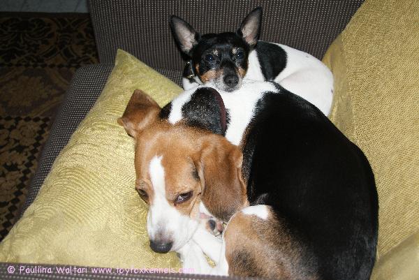 Kylpylälomalla 24.12.2008