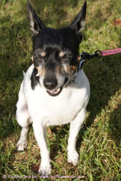 Ruoho juuttui Naton kitalakeen.