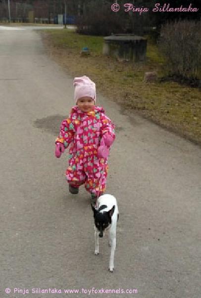 'PR' Dunkel's Hera aka Helma ja perheen esikoinen Fia (1v 5 kk) yhdessä lenkillä.