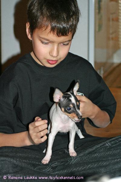 Lelu-neiti ja paras kaverinsa Veeti.