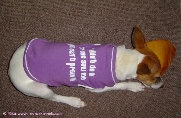 Roxyn uusi paita, teksti sopii kuin nakutettu