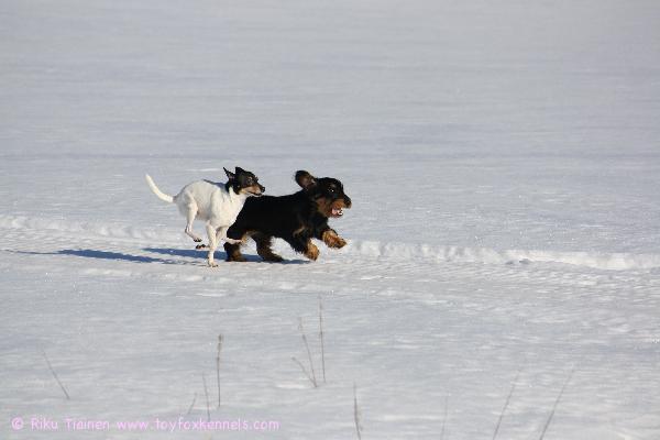 Myrskyllä  ja mäyris-Inkalla on hankirallit menossa :)
