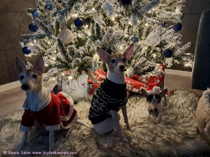 Hyvää Joulua & Onnellista uuttavuotta 2025 !
T: Kowu
Luca
Miina