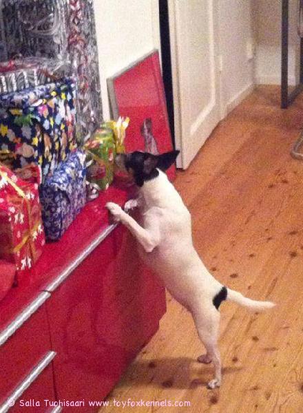 Martta ei malttaisi enää odottaa...