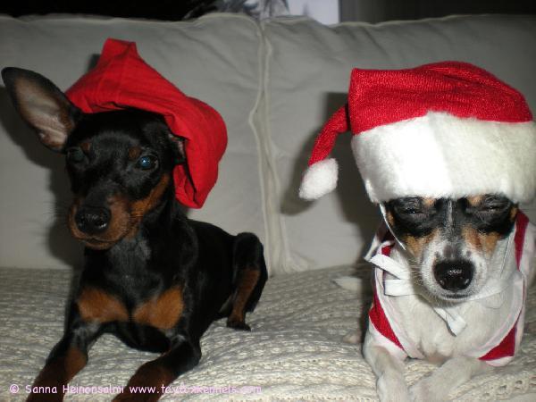 Ulpu ja Minttu toivottavat hyvää joulua!