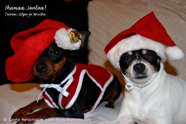 Ulpu ja Minttu Tampereelta toivottavat hyvää Joulua!