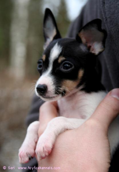 Isin sylkyssä on turvallista olla :)