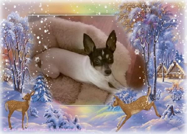 Merry Christmas for Every one!