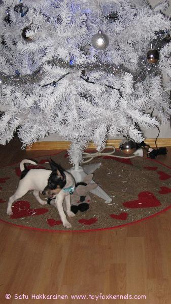 HYVÄÄ JA ILOISTA JOULUA, TOIVOTTAA REMU KINNULASTA!