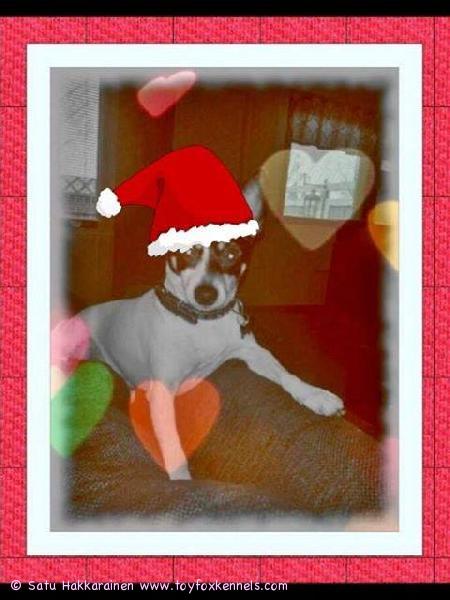 Remu Kinnulasta toivottaa kaikille iloista Joulua Ja Onnellista uutta vuotta 2014