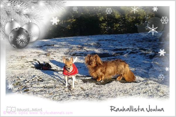 Rauhallista Joulua! T: Helmi, Lulu ja Satu