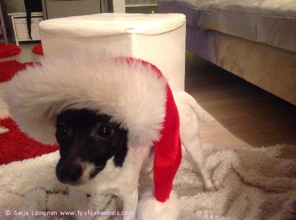 Hyvää joulua ja onnellista uutta vuotta 2014 :)
Toivoopi Mac Duff = Tico oulusta