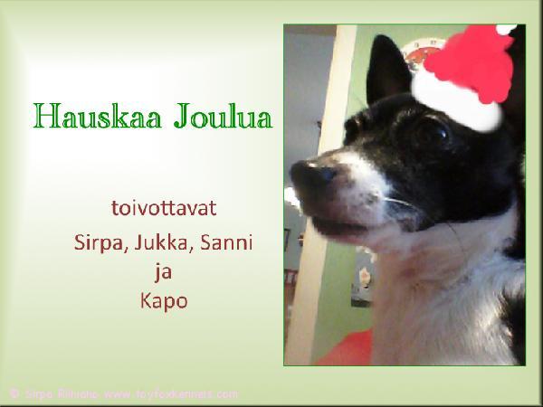 'PR' Dunkel's Black Cowboy aka Kapo lähettää jouluterveisiä. Kapo on juuri nyt matkalla mummolaan, jossa anoppi on kuulemma varannut kaksi kinkkua – toinen koirille ... Kapolla siis paksut oltavat tiedossa :)