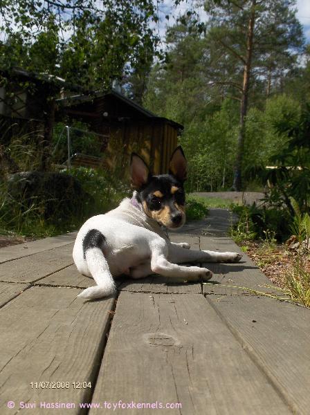 Funny ottaa aurinkoa