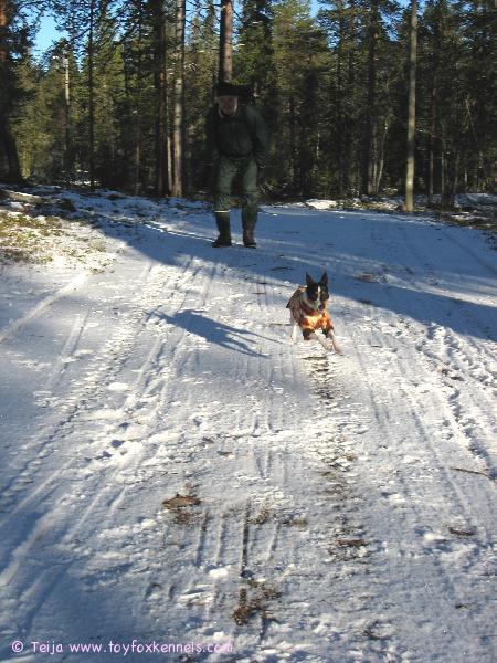 Ollin riemua ensilumesta Ylläksellä!