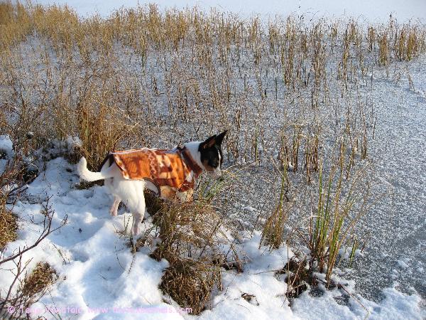Olli ihmettelee kun järvi on jäässä.