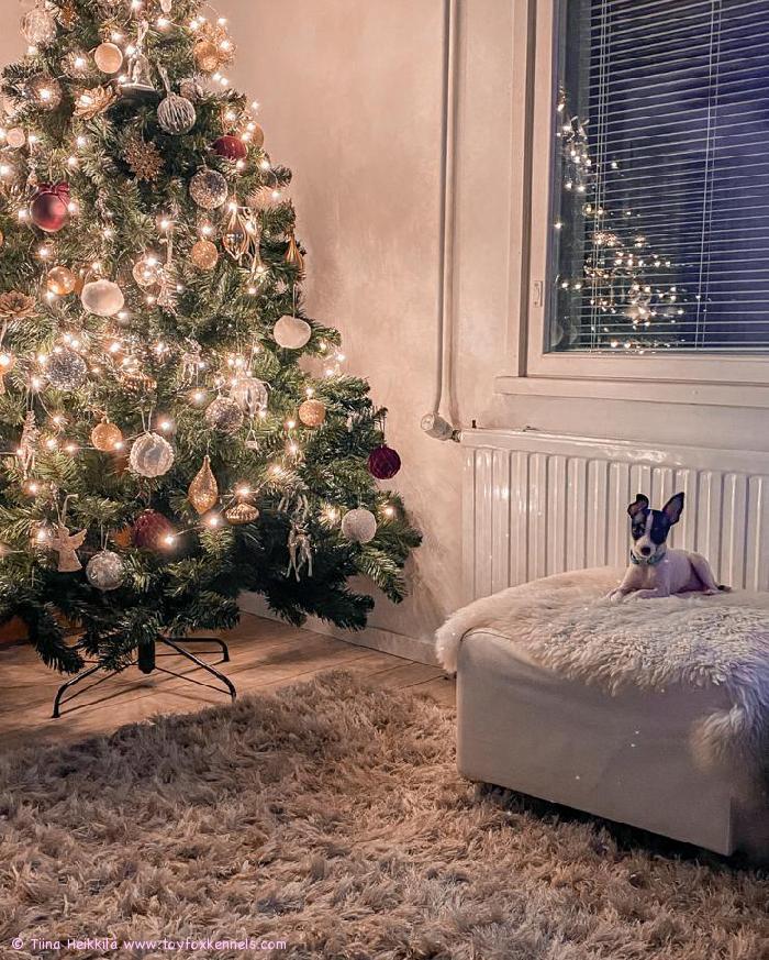 Hyvää Joulua T.Fernando