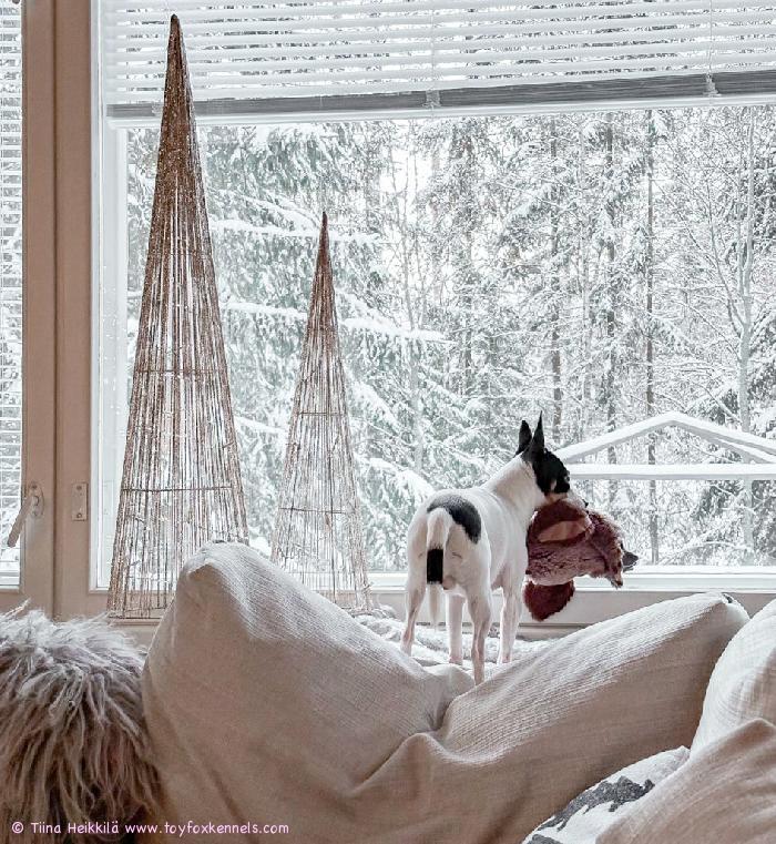 Hyvää Joulua ja Onnellista Uutta Vuotta 2024!
t.Fernando perheineen