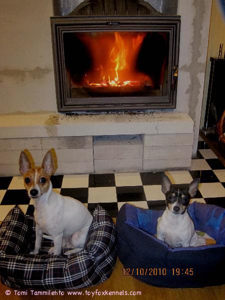 Coco ja Kaneli takan lämmössä...