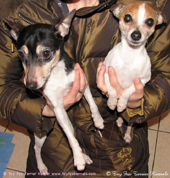 Blackie ja Mocca hoidossa.