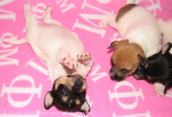 Kellien ja köllien :o)