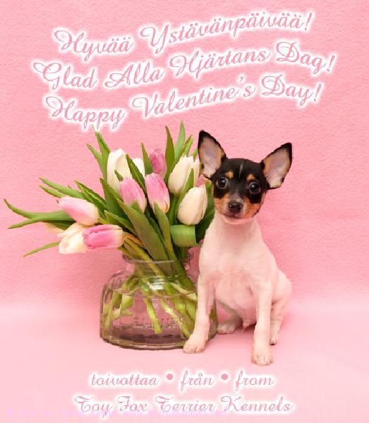 Hyvää Ystävänpäivää 2009!