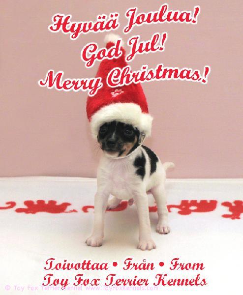 Hyvää Joulua • God Jul • Merry Christmas