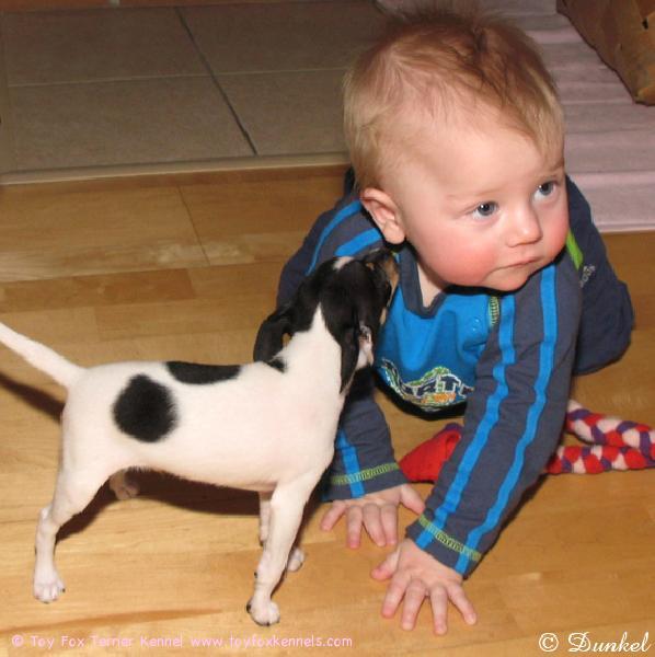 Pikkujätkä Zippi ja kummipoikamme Jere 17.1.2010.