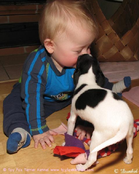 Pikkujätkä Zippi ja kummipoikamme Jere 17.1.2010.