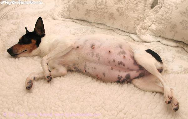 Oppa the isomasu :o)