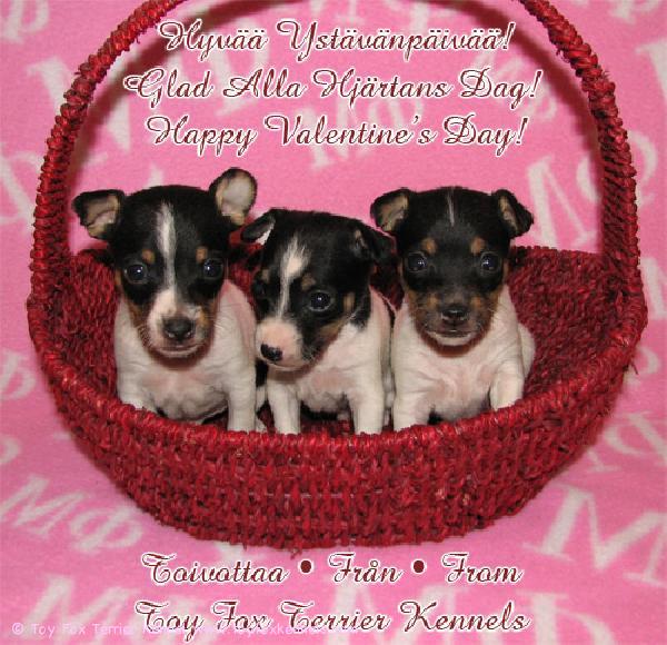 Hyvää Ystävänpäivää!