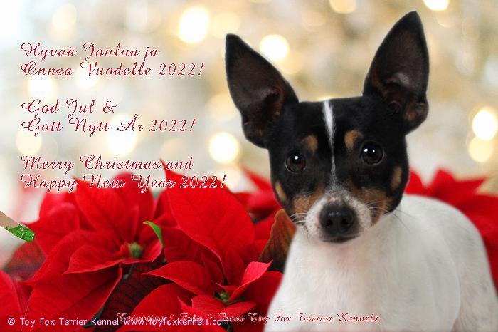 Hyvää Joulua ja Onnea Vuodelle 2022!
God Jul & Gott Nytt År 2022!
Merry Christmas and Happy New Year 2022!