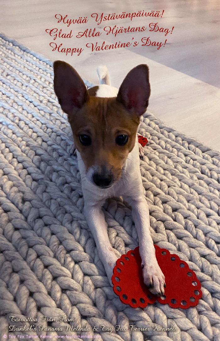 Hyvää Ystävänpäivää!
Glad Alla Hjärtans Dag!
Happy Valentine‘s Day!