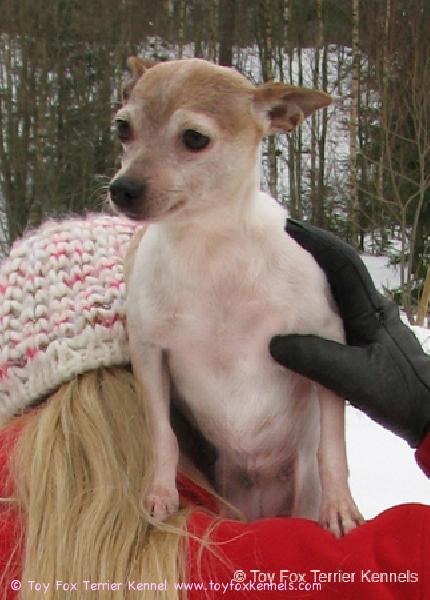 Pipari hyvissä asemissa