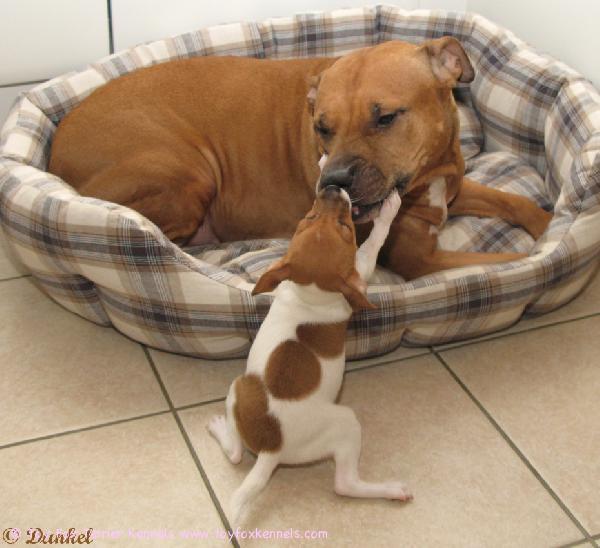 Margo & Frisco pus pus <3