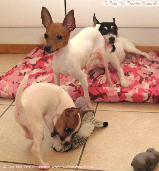 Lady Patti (Lounging Lady) & Inga & CM.