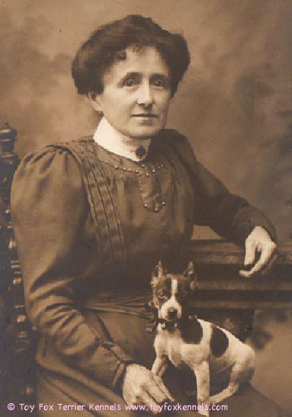 Vanha valokuva amerikankääpiöterrieristä.