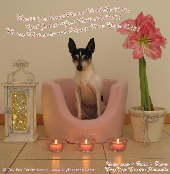 Hyvää Joulua ja Onnea Vuodelle 2012!
God Jul & Gott Nytt År 2012!
Merry Christmas and Happy New Year 2012!