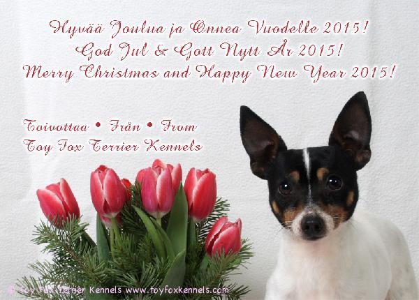 Hyvää Joulua - God Jul - Merry Christmas