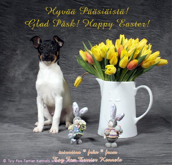 Hyvää Pääsiäistä! Glad Påsk! Happy Easter!