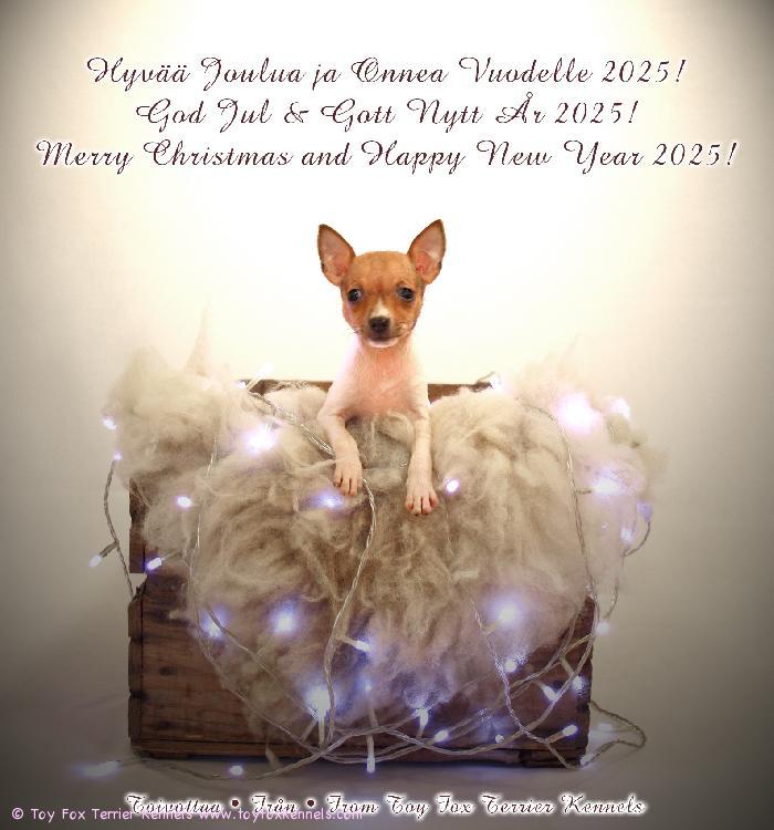 Hyvää Joulua ja Onnea Vuodelle 2025!
God Jul & Gott Nytt År 2025!
Merry Christmas and Happy New Year 2025!