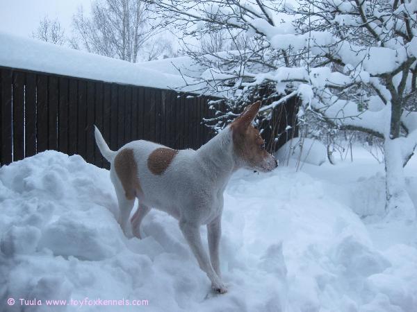 Milli auttaa lumitöissä