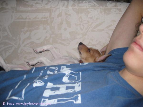 Lumityöt vaativat veronsa...