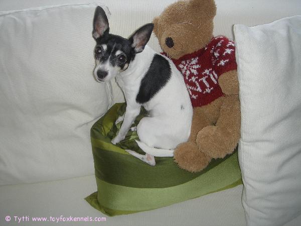 Hyvää ystävänpäivää!