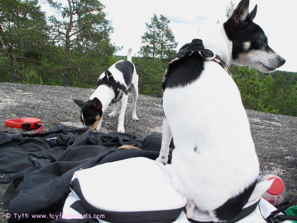 Juhannuksena Penni ja Omppu.