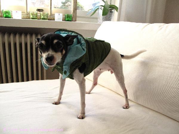 Pennin uusi talvitakki.