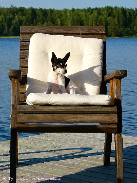 Penni nauttii Juhannuksesta..